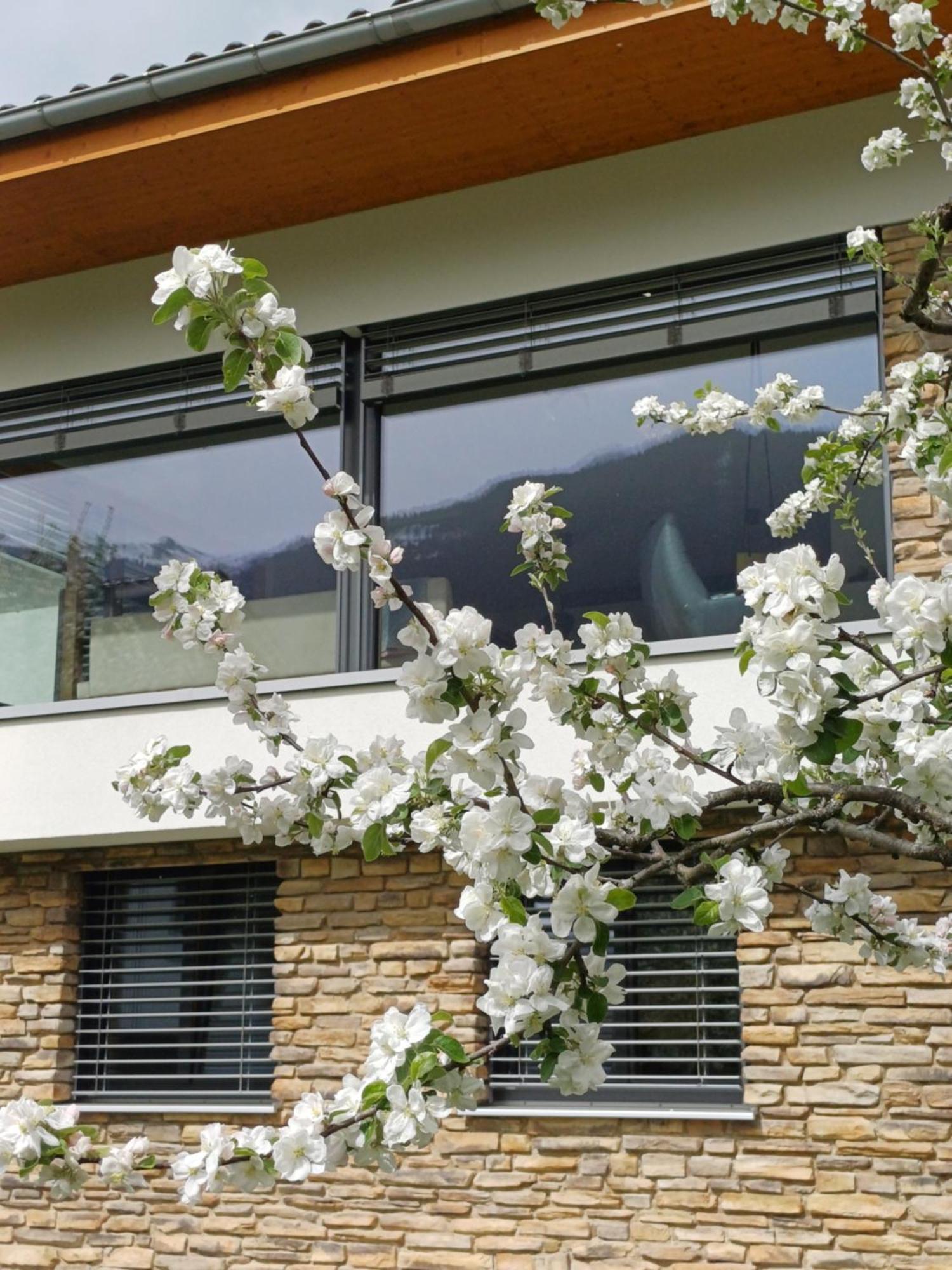 Ferienhaus Raich Vandans Exterior photo